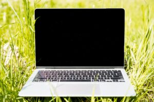 macbook on green grass
