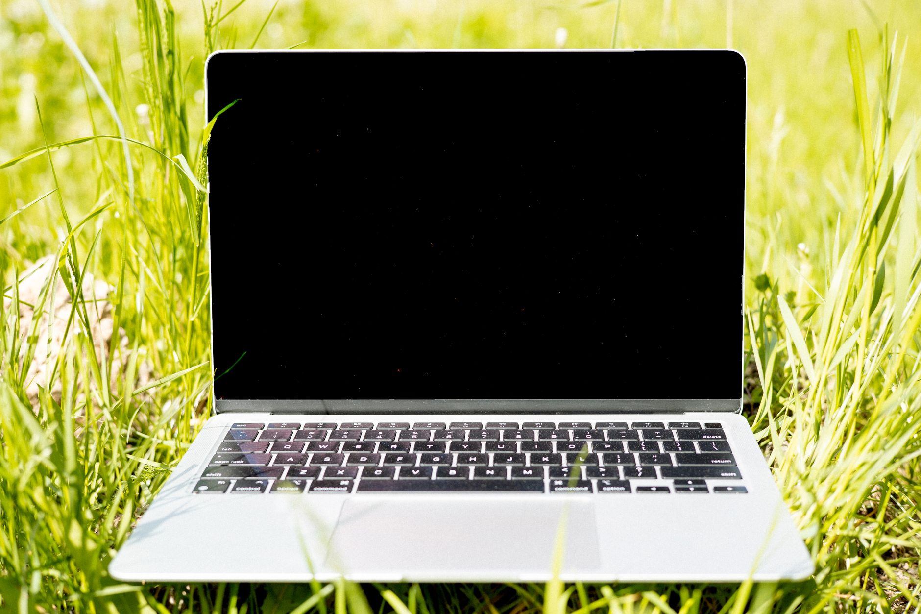 macbook on green grass